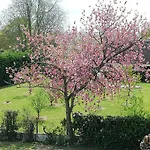 Maella En Normandie- Confort -