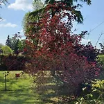 Maella En Normandie- Confort - *