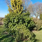 Maella En Normandie- Confort - *