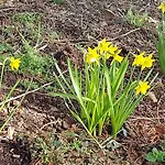 Maella En Normandie- Confort - *
