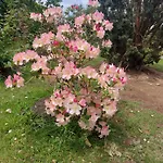 Maella En Normandie- Confort -