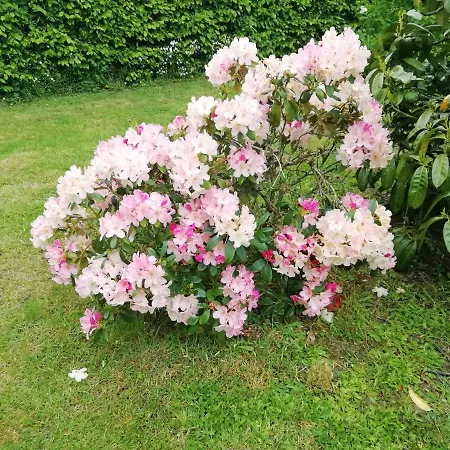 Maella En Normandie- Confort - Bed & Breakfast Saint-Michel-Tuboeuf