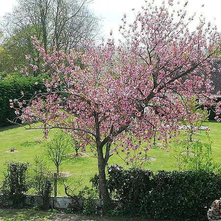 Maella En Normandie- Confort -