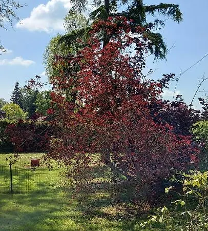 Maella En Normandie- Confort - *