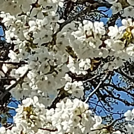 Maella En Normandie- Confort - Bed & Breakfast