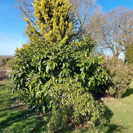 Maella En Normandie- Confort - *