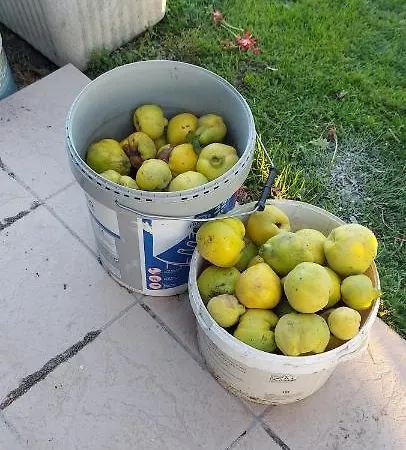 Maella En Normandie- Confort -