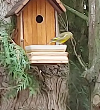 Maella En Normandie- Confort -