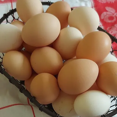 Maella En Normandie- Confort -