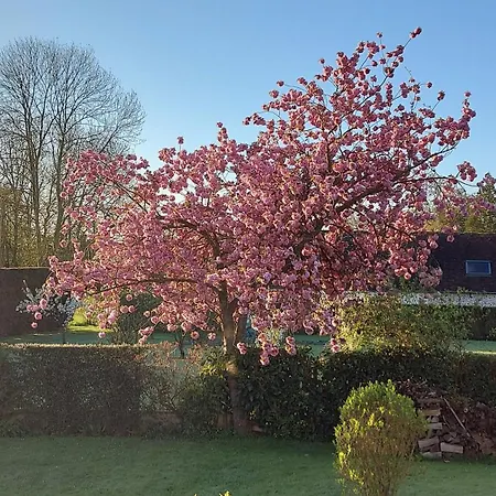 Alojamento de Acomodação e Pequeno-almoço Maella En Normandie- Confort -