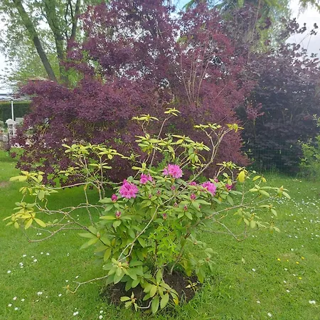Bed and Breakfast Maella En Normandie- Confort - Saint-Michel-Tuboeuf