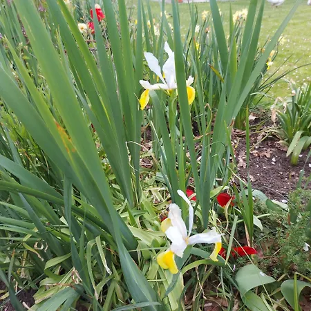 Maella En Normandie- Confort - *