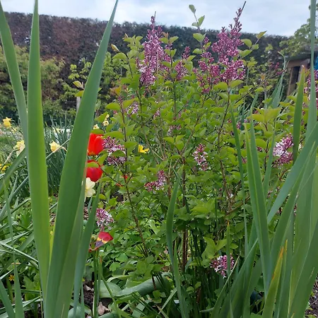 Maella En Normandie- Confort - *