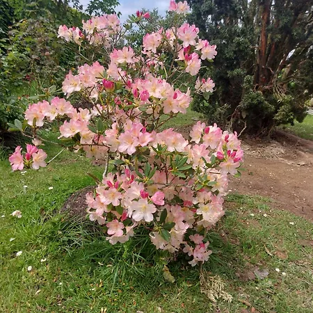 Maella En Normandie- Confort -