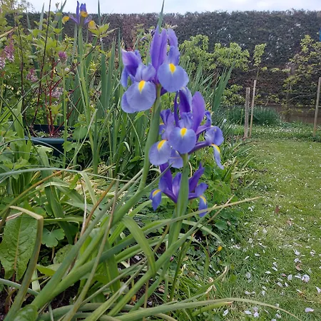 Maella En Normandie- Confort - Saint-Michel-Tuboeuf