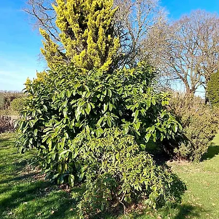 Maella En Normandie- Confort -