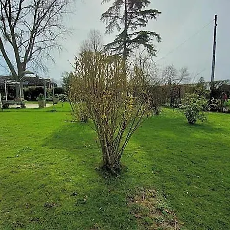 Maella En Normandie- Confort - B&B