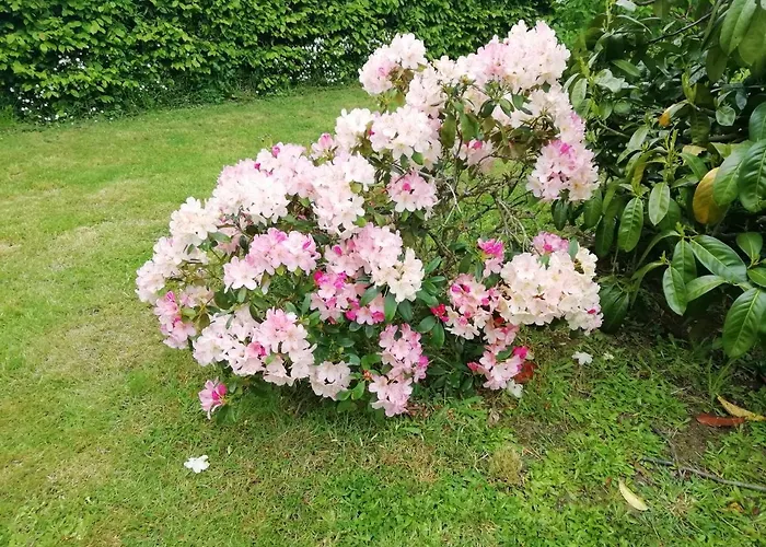Maella En Normandie- Confort - Alojamento de Acomodação e Pequeno-almoço Saint-Michel-Tuboeuf