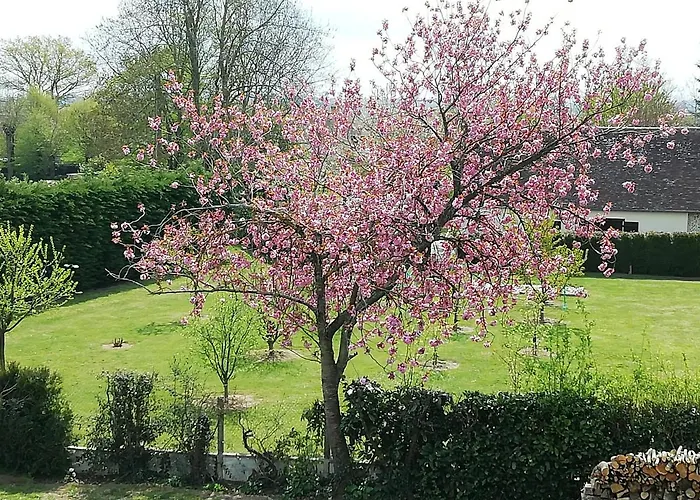 Maella En Normandie- Confort -