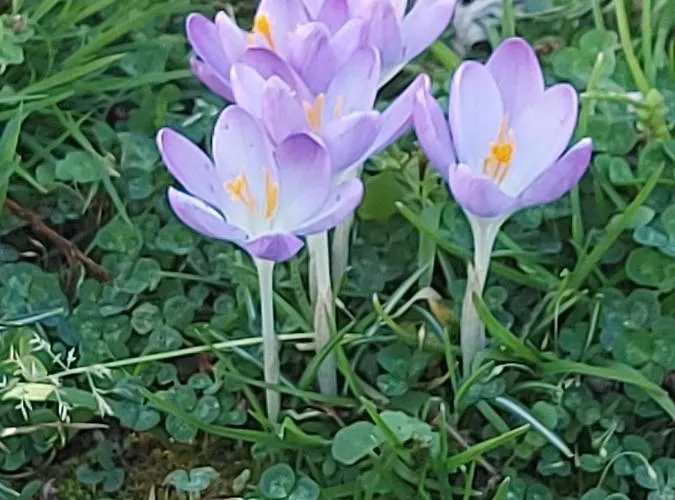 Alojamento de Acomodação e Pequeno-almoço Maella En Normandie- Confort - *