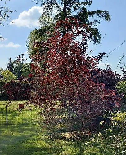 Maella En Normandie- Confort - *