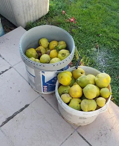 Maella En Normandie- Confort -