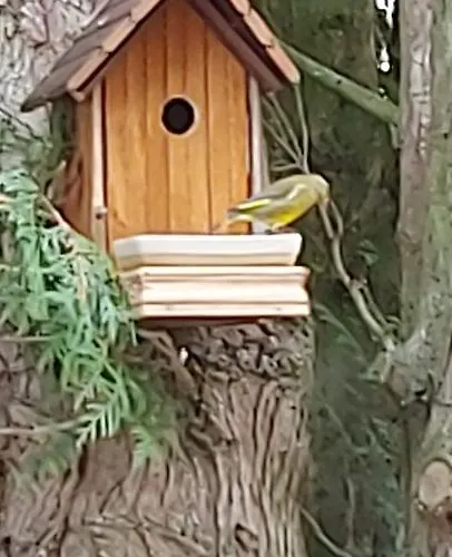 Maella En Normandie- Confort -