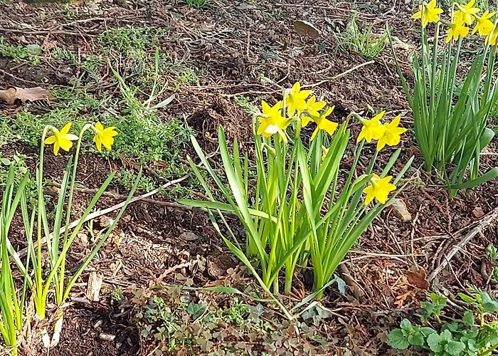 Maella En Normandie- Confort - *