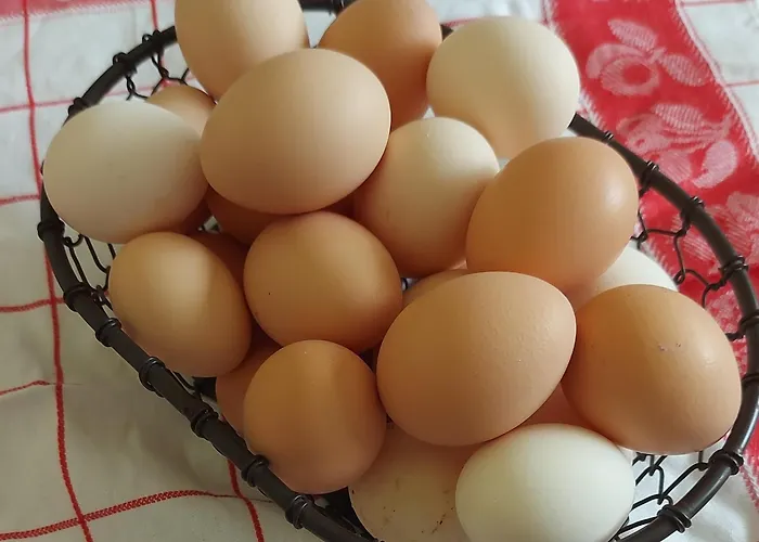 Maella En Normandie- Confort -