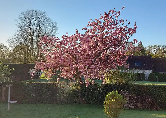 Couette-café Maëlla En Normandie- Confort -