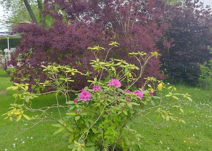 Alojamento de Acomodação e Pequeno-almoço Maella En Normandie- Confort - Saint-Michel-Tuboeuf