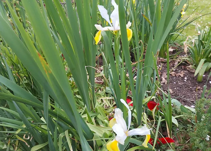 Maella En Normandie- Confort - *