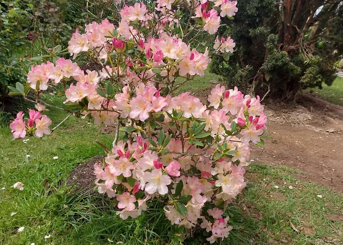 Maella En Normandie- Confort -